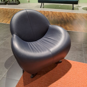 Leolux Papageno fauteuil blauw